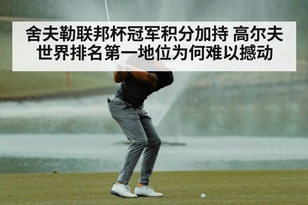 舍夫勒联邦杯冠军积分加持 高尔夫世界排名第一地位为何难以撼动