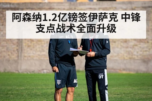 阿森纳1.2亿镑签伊萨克 中锋支点战术全面升级