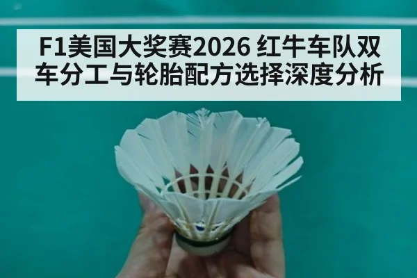 F1美国大奖赛2026 红牛车队双车分工与轮胎配方选择深度分析